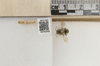 Media type: image;   Entomology 792448 Aspect: Labels